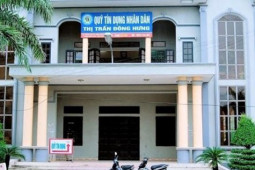 Pháp luật - Bắt một giám đốc rút hơn 20 tỉ đồng từ quỹ tín dụng