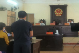 Pháp luật - Cà Mau: Thư ký tòa huyện làm giả bản án bị phạt 2 năm tù