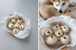 Ẩm thực - Người mẹ nấu các món “chỉ muốn ngắm”, hút gần 100 nghìn fan hâm mộ