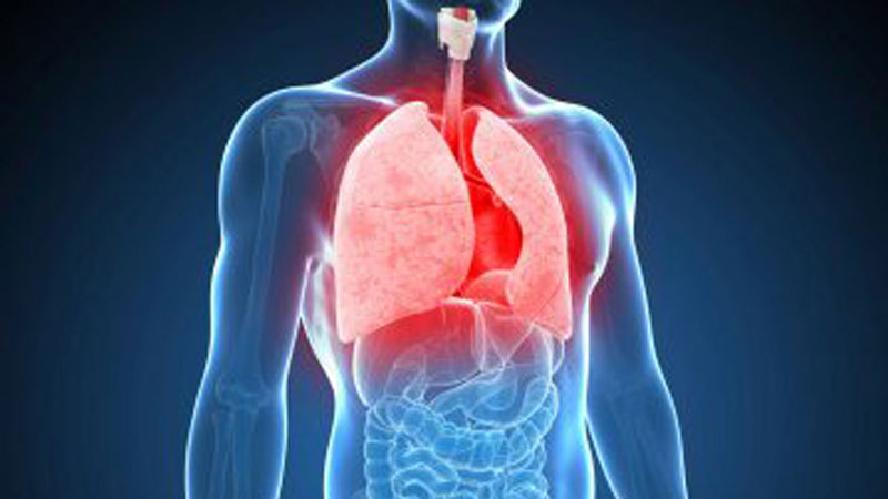 Vì sao cần xịt họng Bảo Khí Khang trong tủ thuốc gia đình khi trời lạnh? - 3