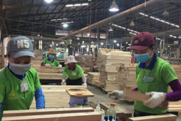 Tin tức trong ngày - Một doanh nghiệp ở Bình Dương thưởng Tết cao nhất gần 900 triệu đồng