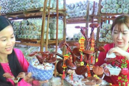 Thị trường - Tiêu dùng - Độc lạ chậu bonsai nấm linh chi chơi Tết