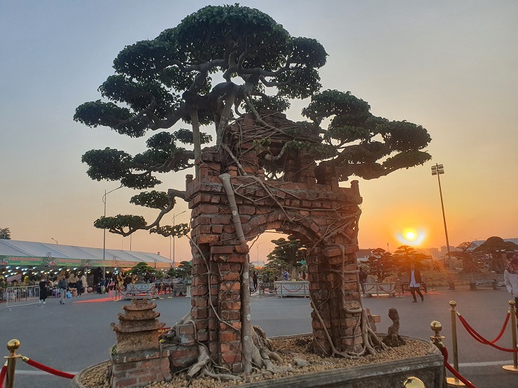 Trong vô số cây cảnh tham dự Lễ hội sinh vật cảnh Thủ đô 2022, cây sanh với tên gọi “Hồn quê” đã thu hút sự quan tâm của nhiều khách đến tham quan.
