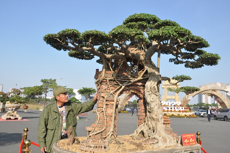 Chủ nhân của tác phẩm này là ông Lại Quang Hoà (Hoà Taxi), trú tại Hưng Yên, là một người có tiếng trong giới sinh vật cảnh.
