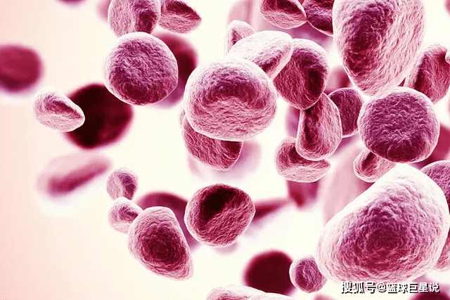 Máu có 3 chỉ số bất thường này, cần đi khám càng sớm càng tốt - 4