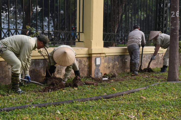 Công nhân Công ty TNHH một thành viên Công viên Thống Nhất được huy động để chuyển cây cối bị ảnh hưởng ra khỏi khu vực hàng rào.