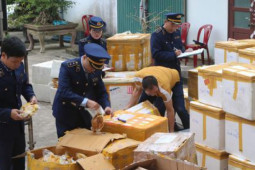 Bắt giữ hơn 6 tấn thịt gà Đông Tảo, giò heo rút xương, dồi sụn đã bốc mùi hôi thối