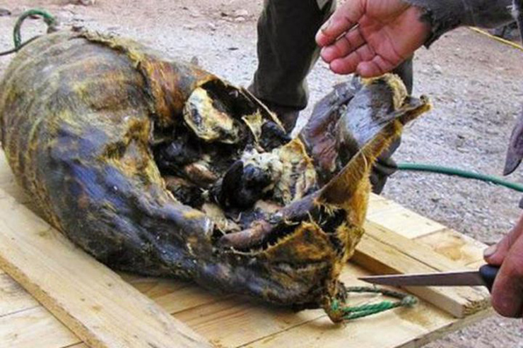7 món ăn kỳ lạ nhất vào dịp Giáng sinh trên thế giới - 3