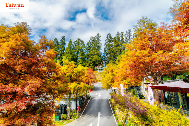 Cảnh sắc mùa thu Đài Loan