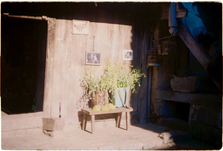 Những bông hoa đẹp.