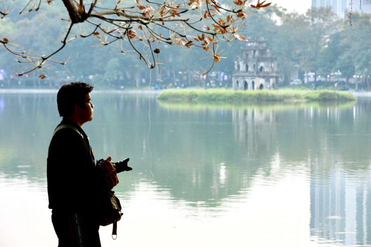 Thời điểm đẹp nhất để chụp ảnh là khi ánh mặt trời lên cao và chiều hoàng hôn, chiếu rọi vào từng chiếc lá