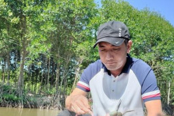 Thị trường - Tiêu dùng - Du khách ''săn'' cua Cà Mau bằng chiếc cần câu độc nhất vô nhị