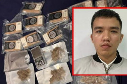 Pháp luật - Lễ tân khách sạn “trữ” cần sa để bán cho du khách nước ngoài