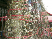 Chỉ bán hoa mỗi dịp Tết ở cổng chợ hoa Quảng Bá, người đàn ông đến từ Bắc Giang thu hàng trăm triệu đồng/năm