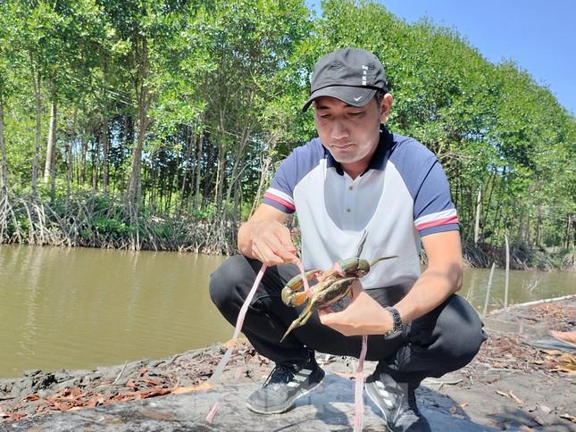 Du khách được tự tay trực tiếp cắm cần câu cua, bắt và tự buộc cua lại.