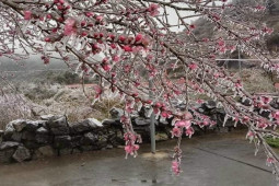 Tin tức trong ngày - Miền Bắc xuất hiện nhiều ngày rét đậm, rét hại vào đầu năm 2023