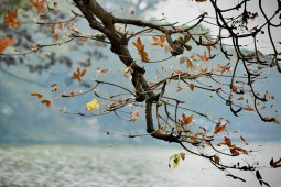 Tin tức trong ngày - Xao xuyến vẻ đẹp Hồ Gươm khoảnh khắc giao mùa