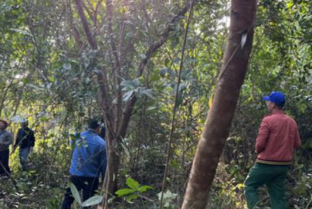 Giải tỏa khu "rừng ma" để thi công cao tốc Vạn Ninh - Cam Lộ