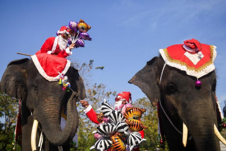 Hai người quản tượng hóa trang thành ông già Noel cưỡi voi trao quà cho học sinh trước lễ Giáng sinh tại một trường tiểu học ở thành phố Ayutthaya (Thái Lan) ngày 23-12. Ảnh: REUTERS