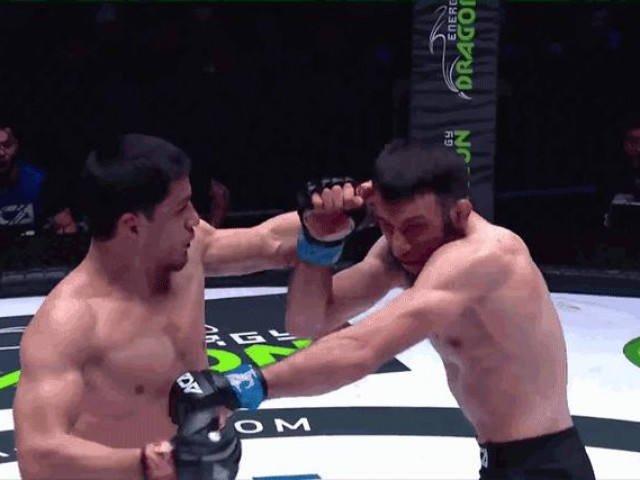 Thể thao - Võ sĩ Tajikistan tung cú đấm ‘sấm sét’ khiến đối thủ ngã gục