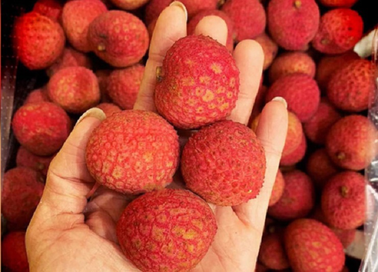 Vải thiều Úc được cắt bỏ cuống, quả khá to và đều, tươi ngon được đóng thành từng thùng nặng 5kg.