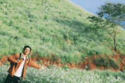 Du lịch - Mùa hoa cải trắng đẹp nức lòng tại Mộc Châu