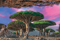 Media - Hòn đảo "kỳ ảo" bậc nhất thế giới, cảnh sắc như ngoài hành tinh