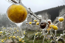 Tin tức trong ngày - Miền Bắc sắp chấm dứt hanh khô, có nơi mưa rét dưới 5 độ C