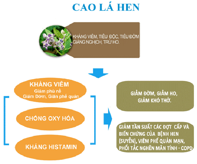 Tự bấm huyệt tại nhà có giảm tức ngực, khó thở do hen suyễn không? - 3