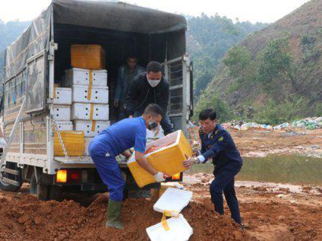 Thị trường - Tiêu dùng - Tiêu hủy hơn 7 tấn tràng trứng gà non đông lạnh trị giá hơn 1 tỷ đồng