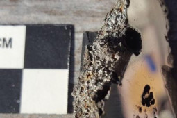 Công nghệ thông tin - Tìm thấy 2 khoáng chất phi thường trong thiên thạch 15 tấn rơi xuống châu Phi