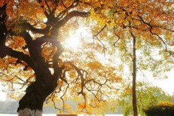 Đàn ông - Hà Nội không vội thật ư?