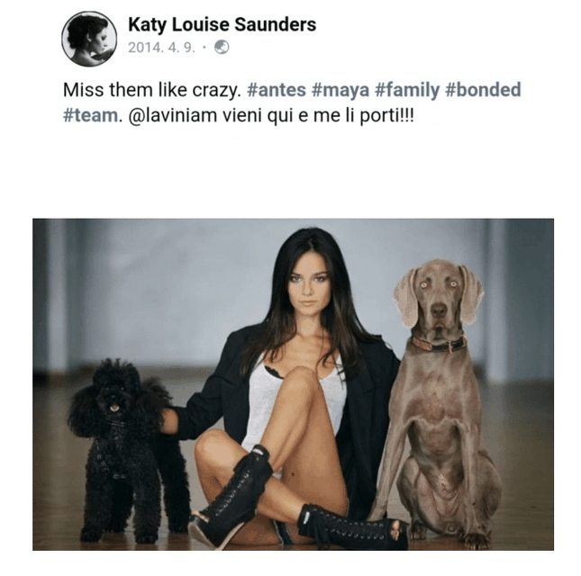 Katy từng khoe cún cưng trong một bài đăng trên Facebook.