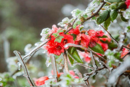 Tin tức trong ngày - Miền Bắc khả năng có mưa tuyết, băng giá trong đợt rét từ đêm nay (27/12)