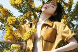 Phim - "Nữ bác sĩ gợi cảm nhất Bãi Biển" gây bão MXH: Ngoài đời là mẫu nội y