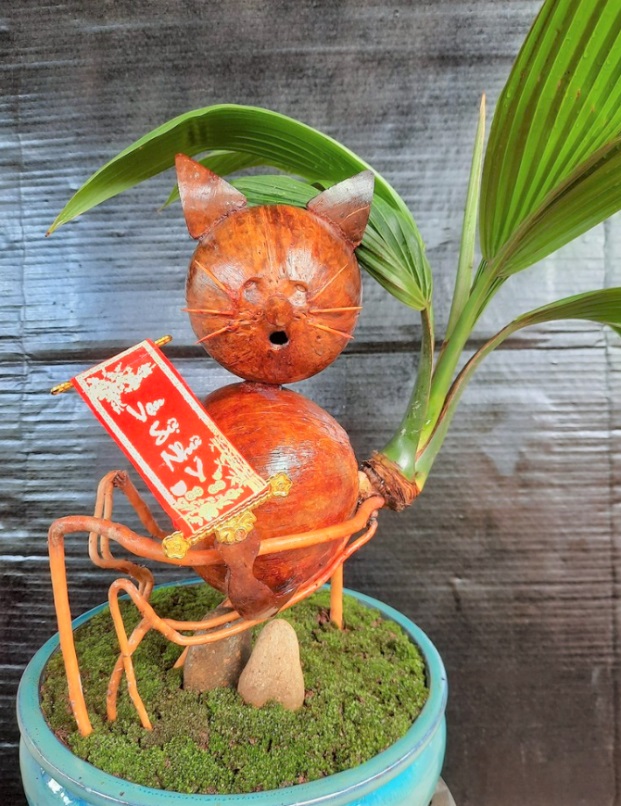 Fancy mini bonsai coconut attracts customers on the occasion of the Lunar New Year - 2