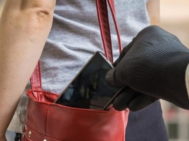 Pháp luật - Đà Lạt: Bắt 3 "nữ quái" móc túi khách du lịch tại Festival hoa