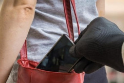 Pháp luật - Đà Lạt: Bắt 3 "nữ quái" móc túi khách du lịch tại Festival hoa