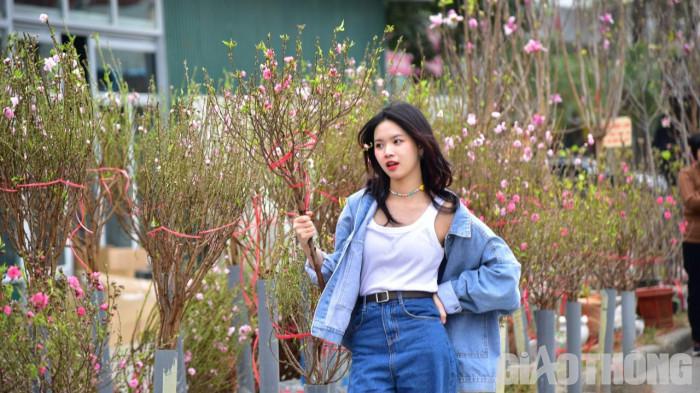 Trước đó, đào ở các nơi cũng đổ về Hà Nội từ đầu tháng 12, song tới thời điểm hiện tại nhiều nơi đào đã nở bung đẹp, mặc giá rét người dân vẫn đổ xô chọn mua đào chơi Tết sớm.