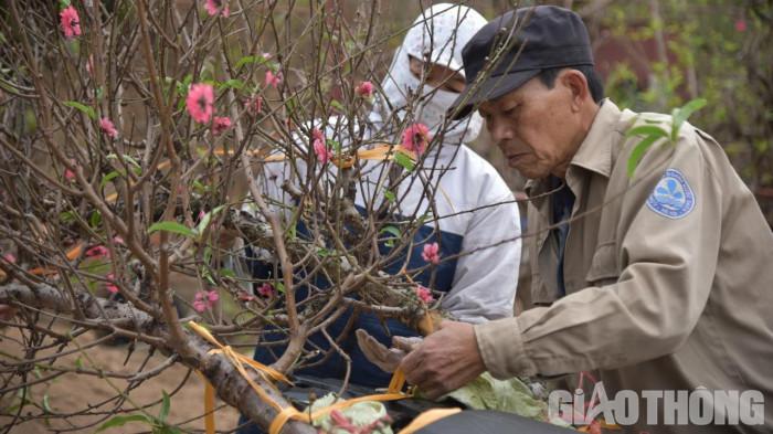 Xu hướng năm nay người dân sẽ chọn những cây vừa, dáng thế nằm ngang vì phù hợp với không gian văn phòng, nhà chung cư hoặc mua làm quà biếu tặng.