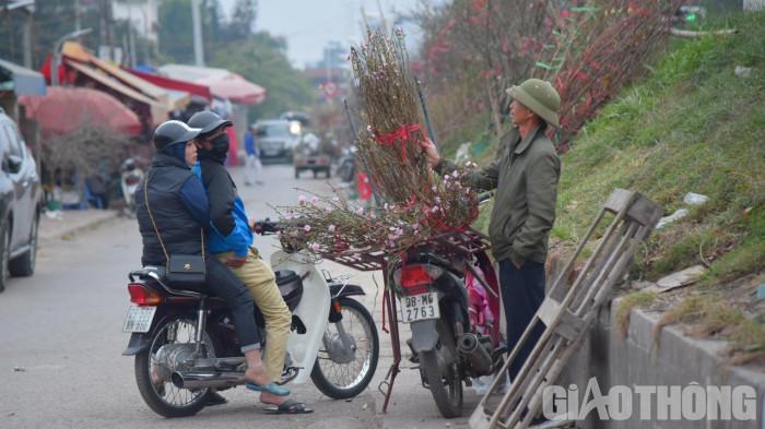 Đào ở các nơi "xuống phố" sớm, thời tiết nắng những ngày qua khiến hoa nở rộ.