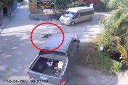 Tin tức trong ngày - Clip: Xe máy phóng nhanh tông kinh hoàng ô tô bán tải, tài xế nằm gục