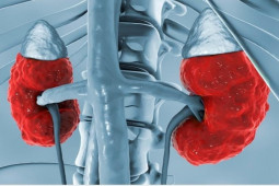 Sức khỏe đời sống - Hai quả thận bị suy sẽ tránh nhận thêm tổn thương nếu bạn biết những điều này