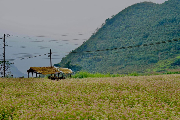 Du lịch Hà Giang 4 ngày 4 đêm chơi gì, ở đâu? - 1