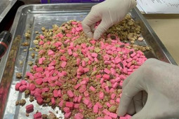 Pháp luật - Qua soi chiếu hàng hóa, phát hiện nhiều lô hàng chứa ma túy