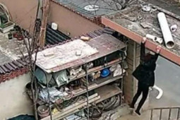 Phi thường - kỳ quặc - Bé trai nhanh trí làm một việc để giải cứu bà nội khỏi tình cảnh vô cùng nguy hiểm