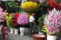 Thị trường - Tiêu dùng - Tràn ngập hoa giả trang trí Tết giá bạc triệu