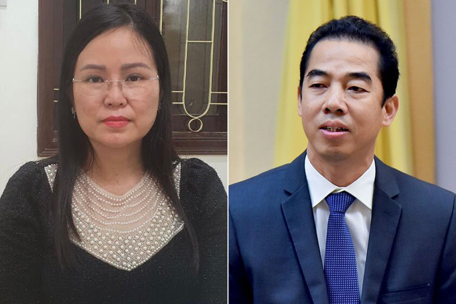 Bà Nguyễn Thị Hương Lan và ông Tô Anh Dũng khi chưa bị khởi tố, bắt tạm giam
