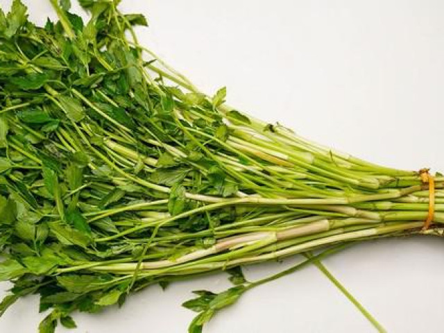 Ẩm thực - Rau cần có nhiều lợi ích nhưng những người sau nên tránh xa tuyệt đối