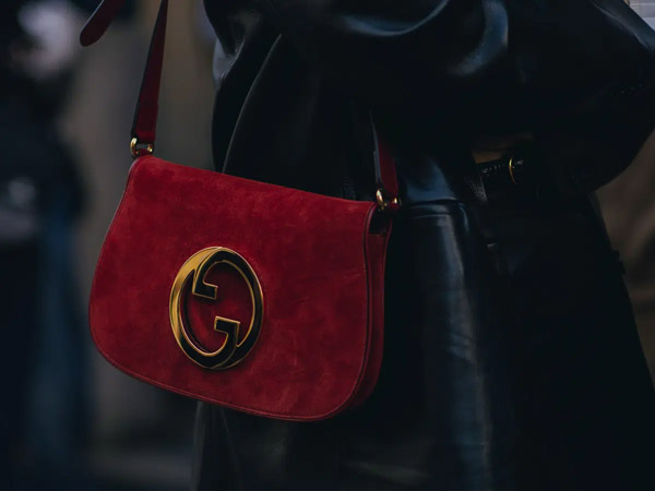 5 chiếc túi đỉnh nhất, gây tiếng vang lớn khi phát hành vào năm 2022 - 2